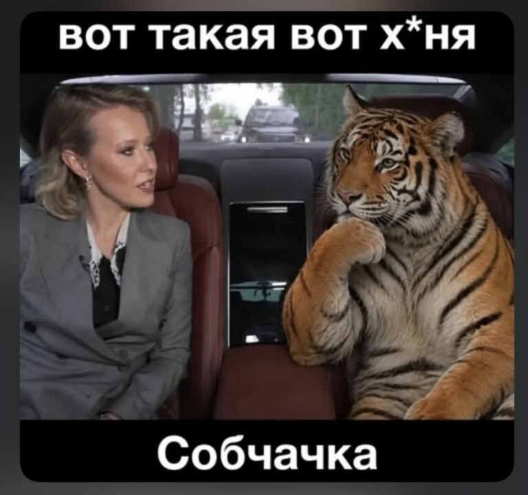 Вот такая вот хуйня, собачка