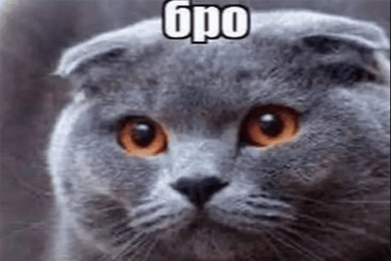 Бро и т.д.