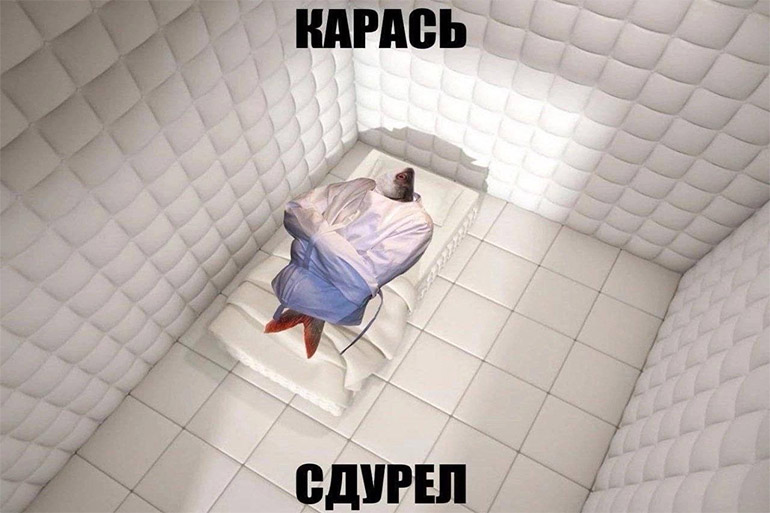 Карась дуреет