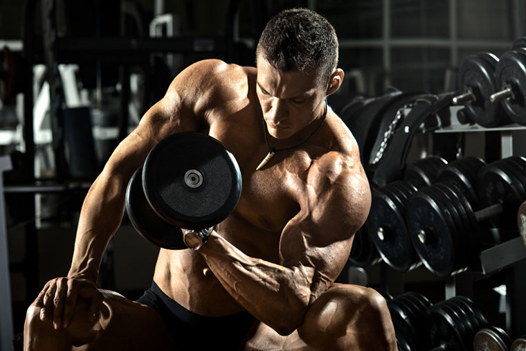 Gym Bros' Anthem (Trenbolone Up the Butt)
