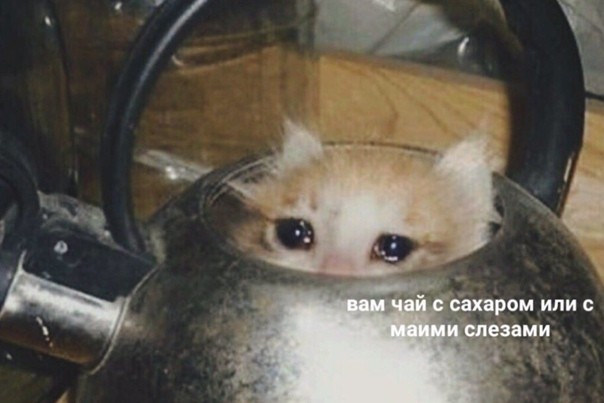 Вам чай с сахаром или с моими слезами?