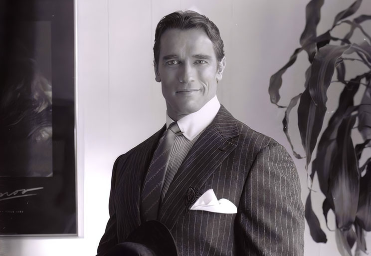 Ladies and Gentlemen (Schwarzenegger in a Suit)