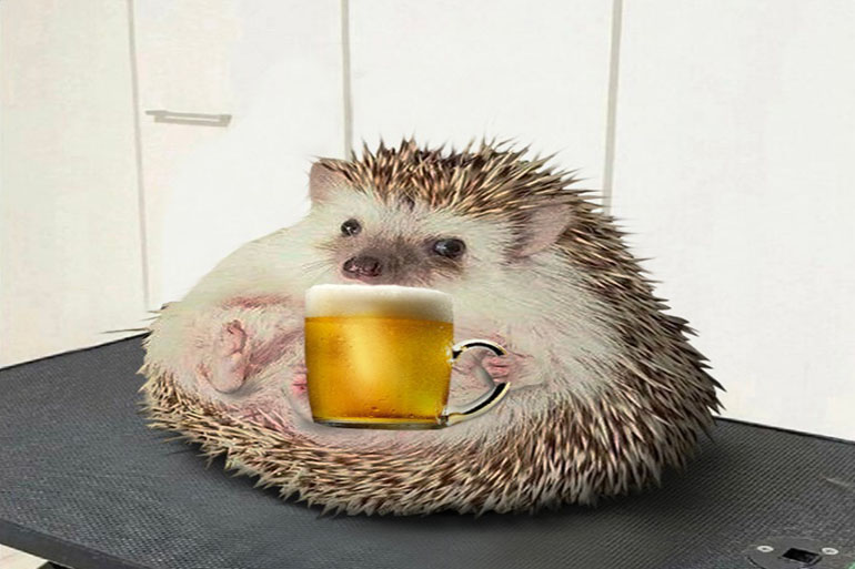 Beer Hedgehog