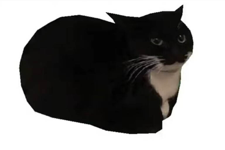 Maxwell the Cat (Spinning Cat)