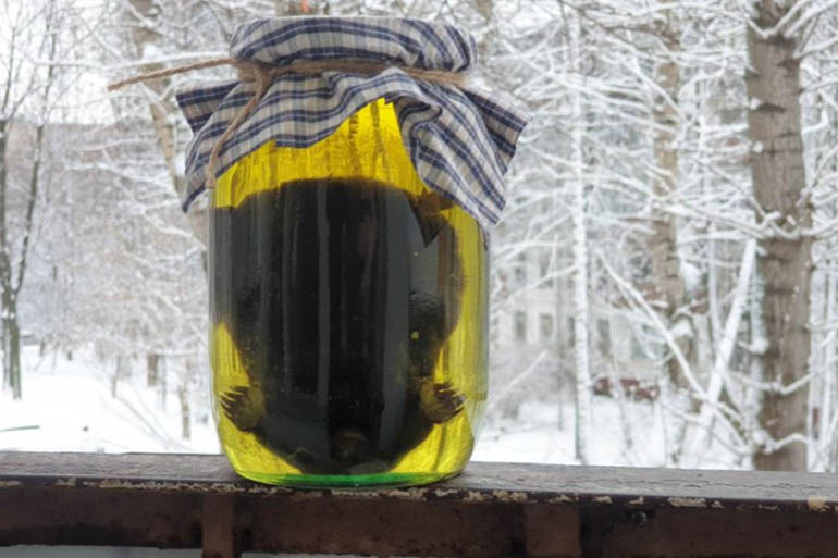Krotovukha (Mole Tincture)
