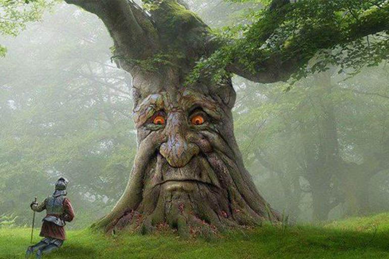 Wise Mystical Tree