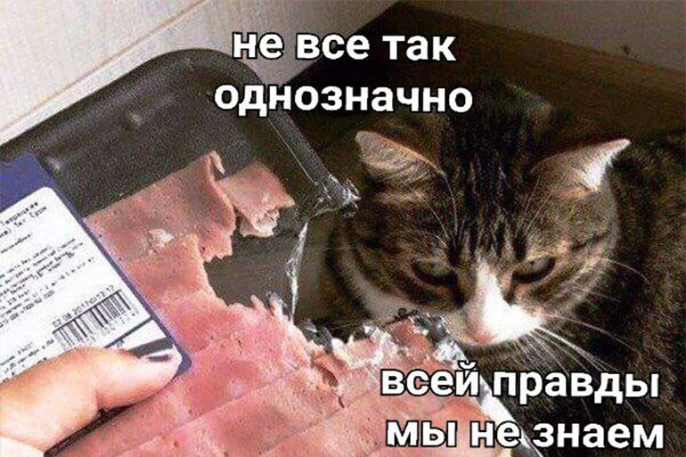 It's Not So Clear-Cut (Cat at a Laptop)