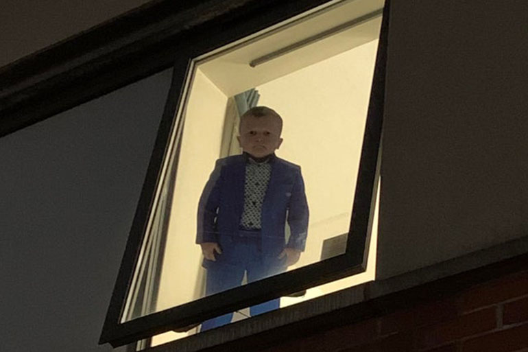 Hasbulla in the Window