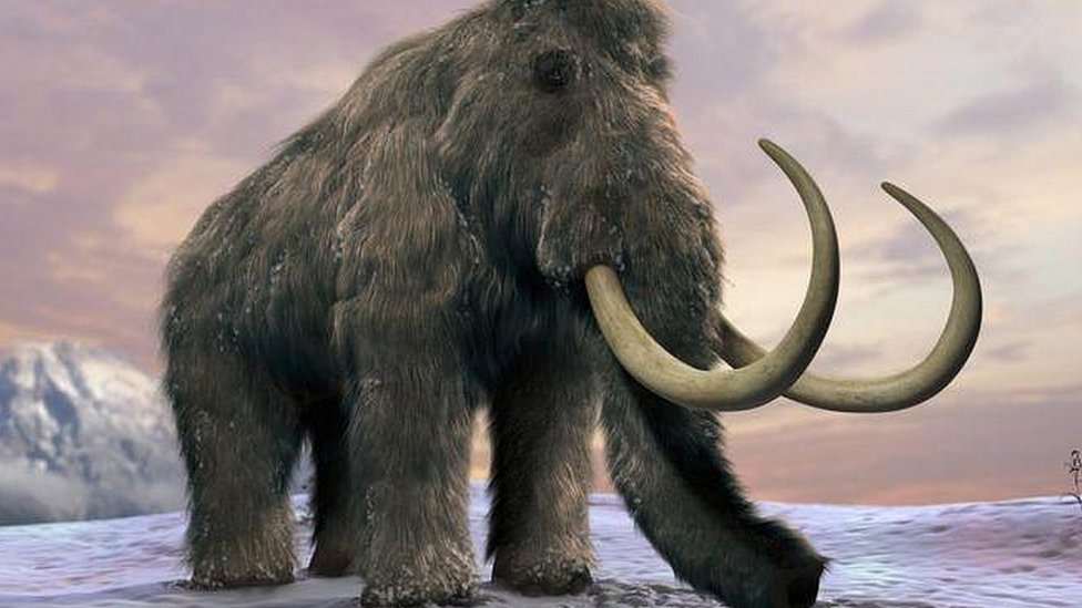“Scammed the Mammoth” (Zaskamil Mamonta)