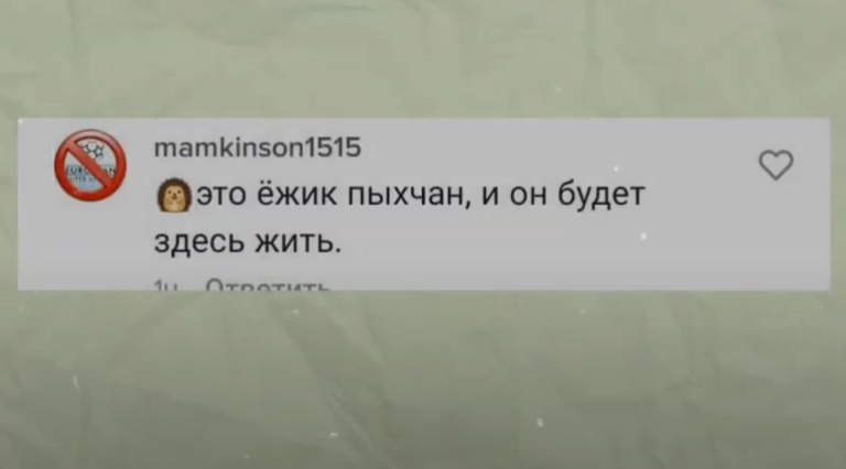 Ежик Пыхчан