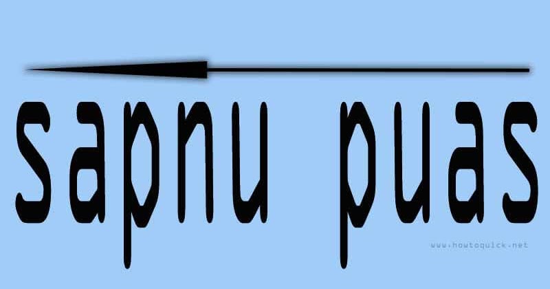 Sapnu Puas