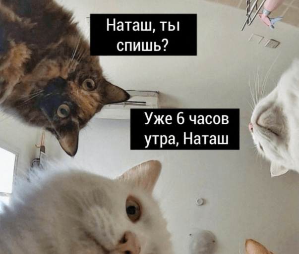 Natash, We Dropped Everything Over There