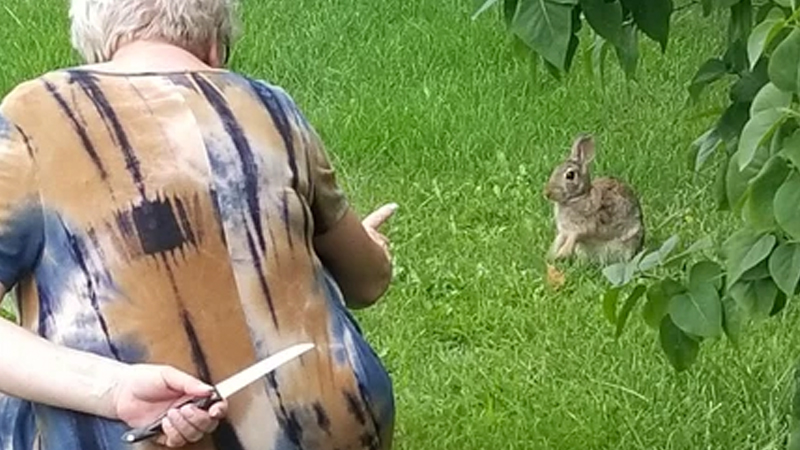 Grandma with a Knife Behind Her Back Threatens a Rabbit