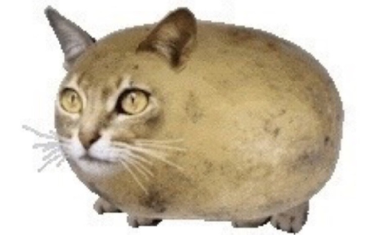 Чилипиздрик