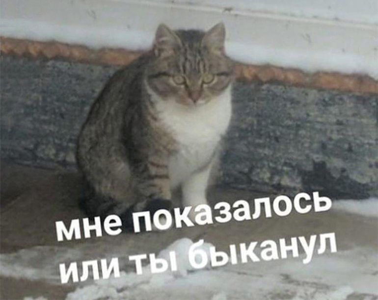 Мне показалось или ты быканул?
