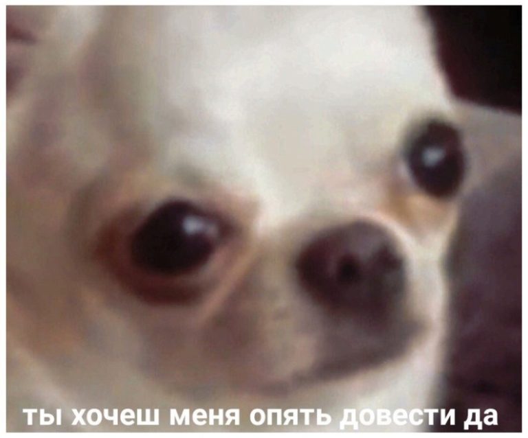 Ты хочешь меня опять довести да