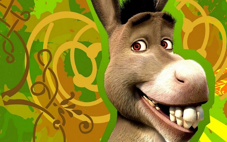 Keep Me Posted, Fucking Donkey Face
