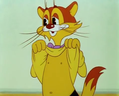 Cat Leopold Shows His Chest