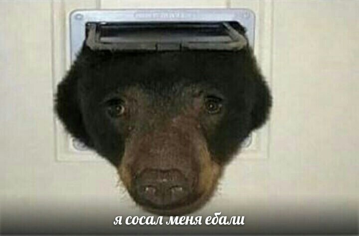 Я сосал меня ебали