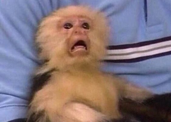 Confused Monkey Scream