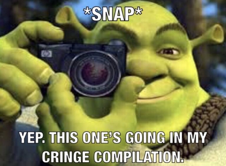 This Goes in My Cringe Compilation