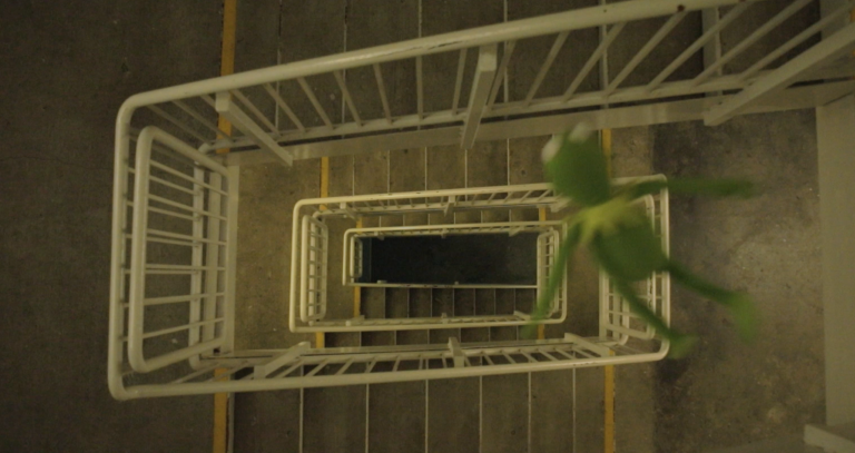 Falling Kermit