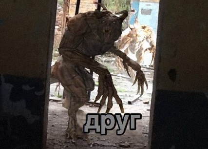 ДРУГ