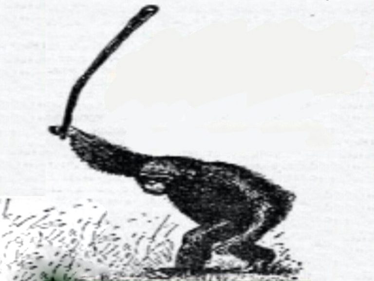 Monkey with a Club (Bund)