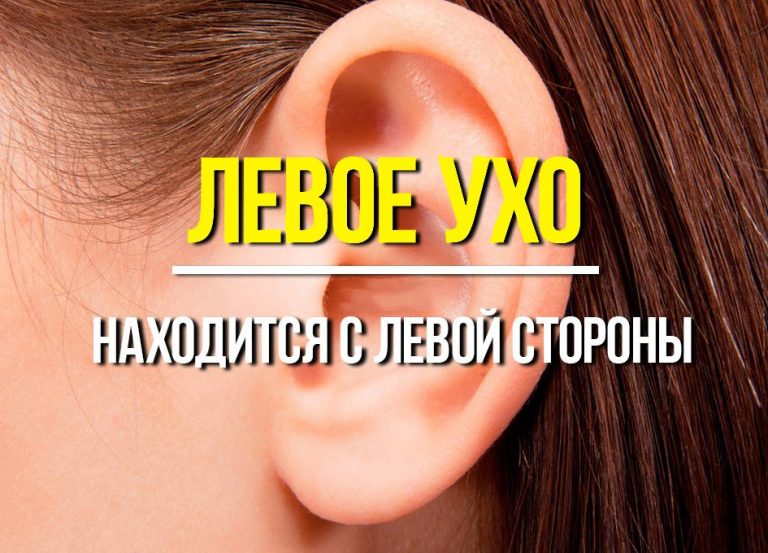 Невероятные факты