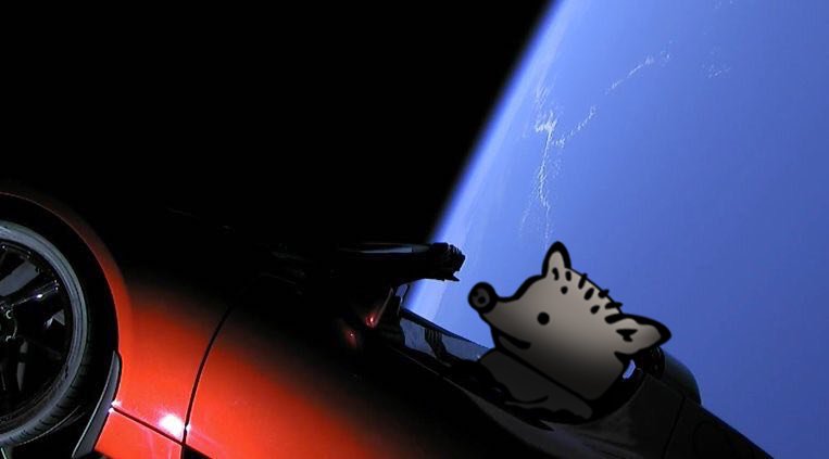 Tesla in Space