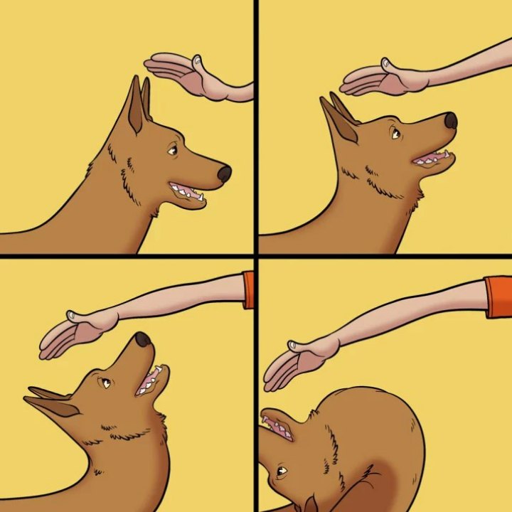 Dog Dodging Pets