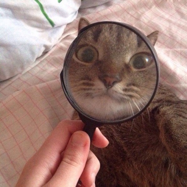 Кесулькен