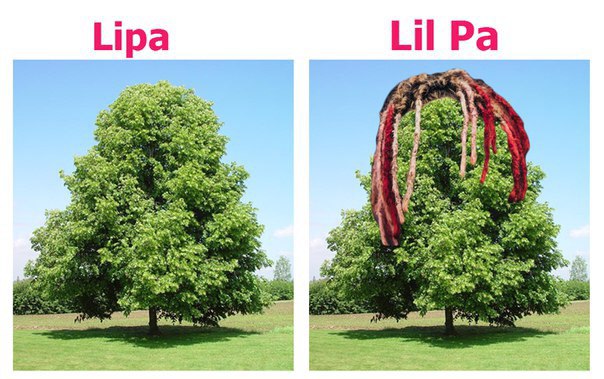 Lil Pump Hairstyle Memes (“Lil” Memes)
