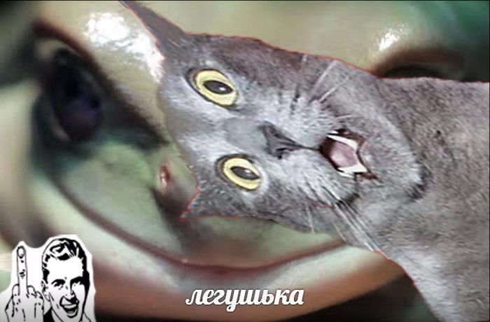 Легушька
