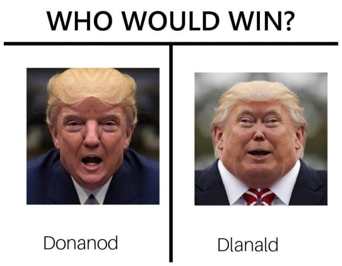 Who Would Win? (Mirrored Face Halves)