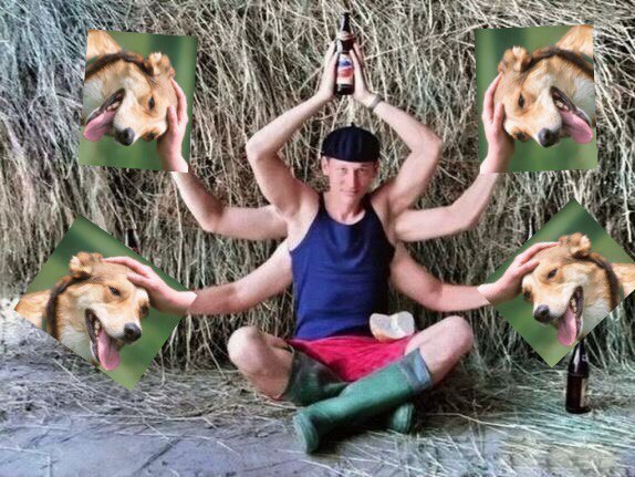 Pet the Dog