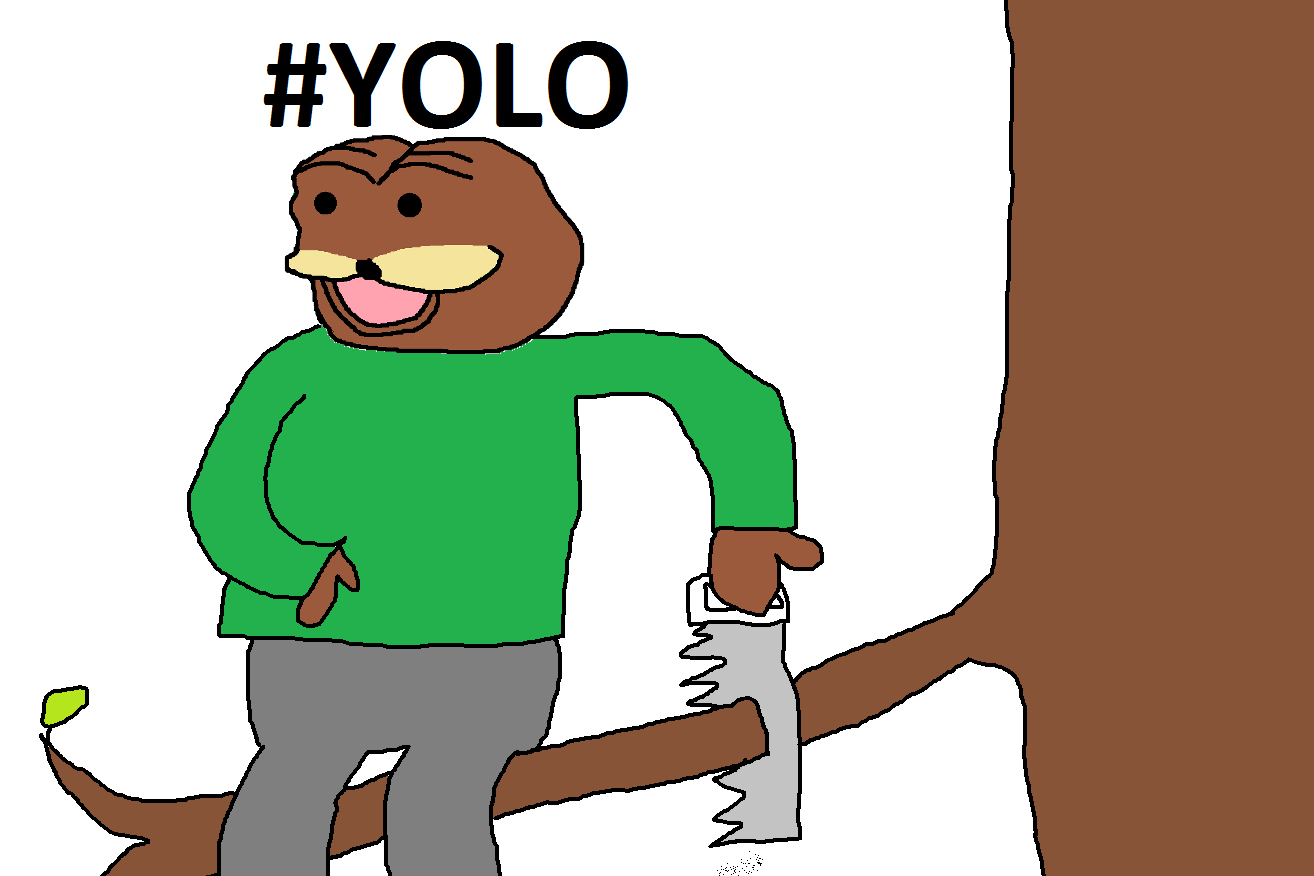 YOLO