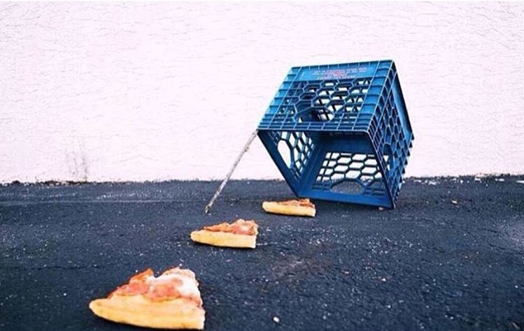 How to Kidnap Me