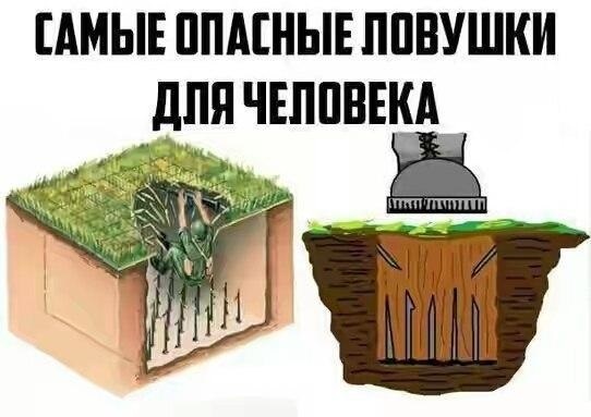 The Most Dangerous Traps for a Person