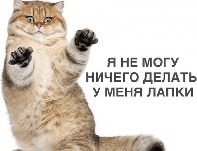 Не могу, у меня лапки
