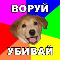 Steal, Kill (Advice Dog)