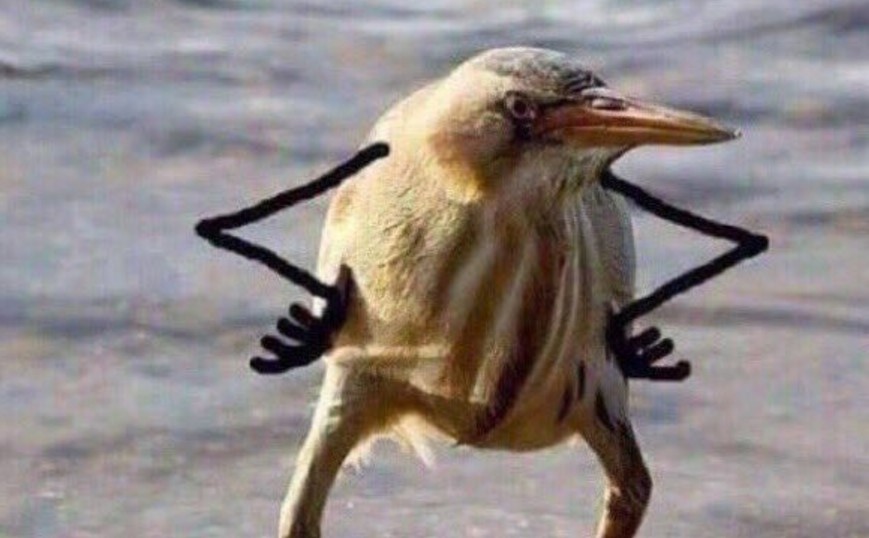 So, Damn It (Bird with Arms)