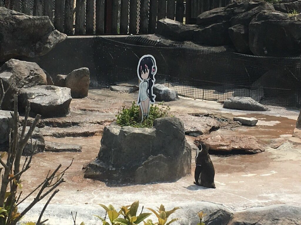 The Penguin and the Anime Girl