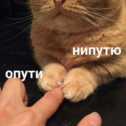 Опути нипутю