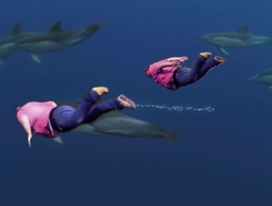 Shooting Stars
