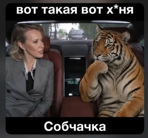 Вот такая вот хуйня, собачка