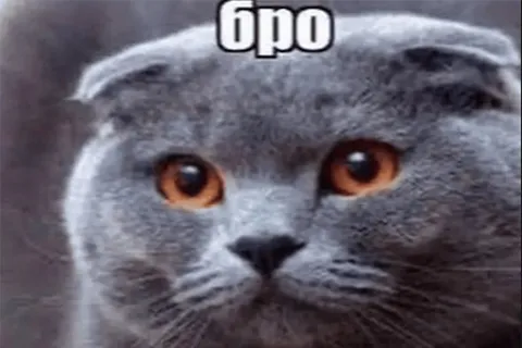 Бро и т.д.