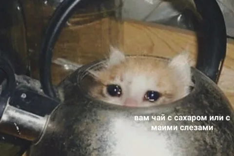 Вам чай с сахаром или с моими слезами?