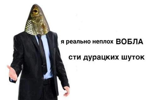 Неплох в области так сказать