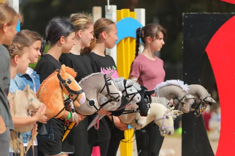 Hobby Horsing